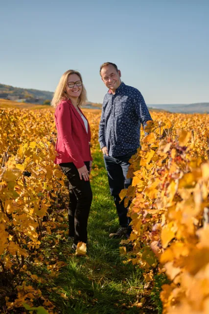 Dans les vignes